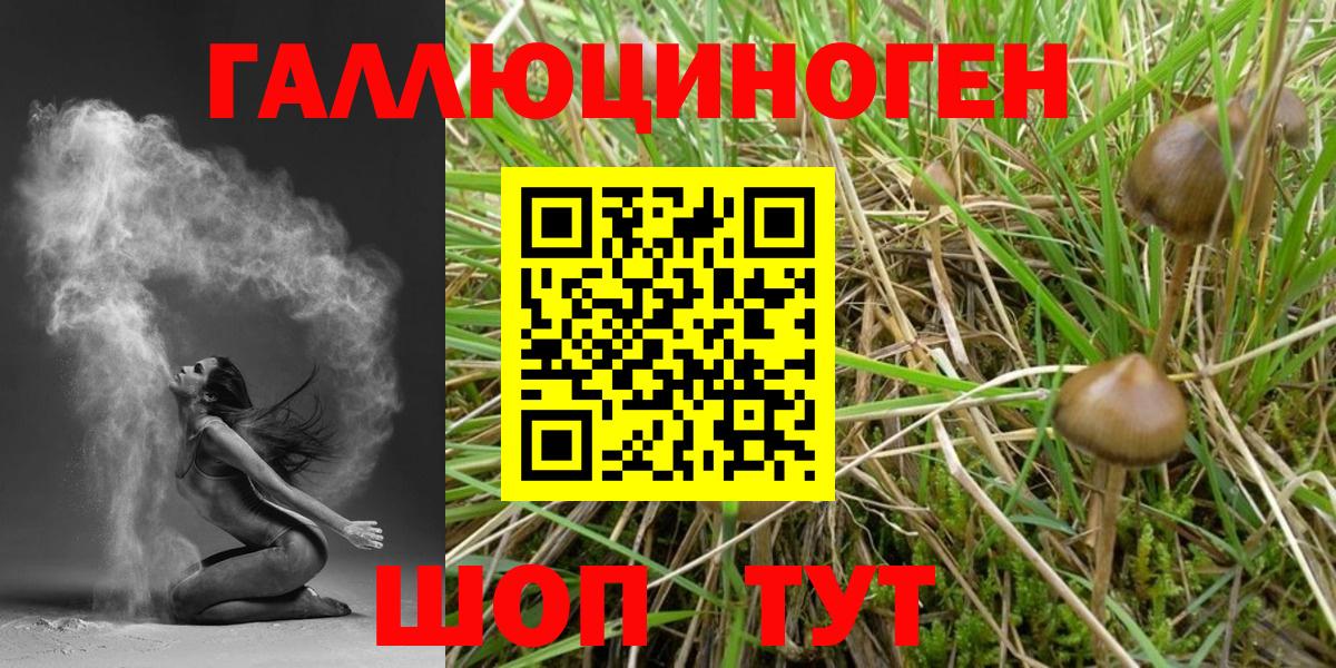 Псилоцибиновые грибы MAGIC MUSHROOMS  Вход с VPN  Алейск 