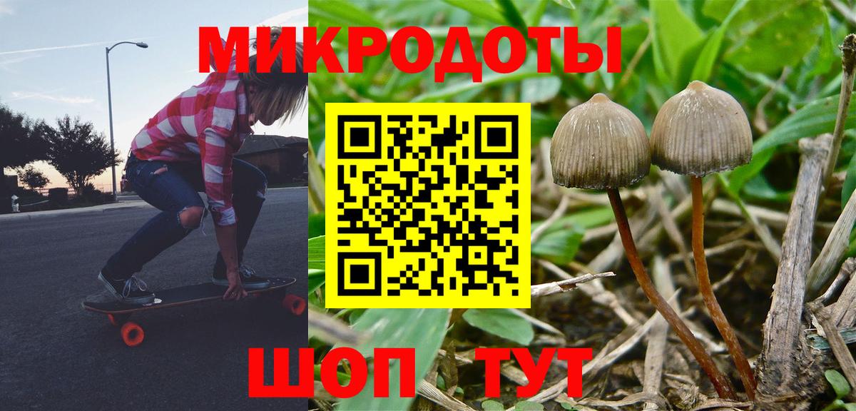 Псилоцибиновые грибы прущие грибы Алейск